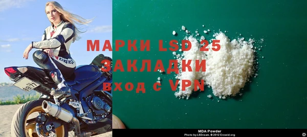 ПСИЛОЦИБИНОВЫЕ ГРИБЫ Белоозёрский