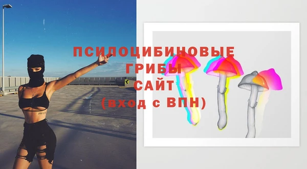 каннабис Белокуриха