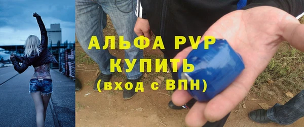 ПСИЛОЦИБИНОВЫЕ ГРИБЫ Белоозёрский