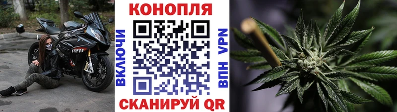 Каннабис OG Kush  Облучье 